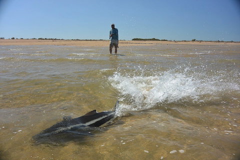 Ningaloo Fly Fishing - Darwin Holiday 2