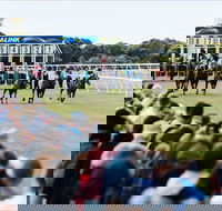 Oakbank - Darwin Holiday