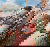 Oakvale Wildlife Park - Darwin Holiday