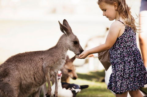 Oakvale Wildlife Park - Darwin Holiday 1