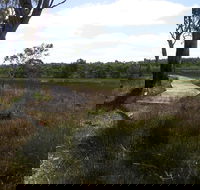 Penola Conservation Park - Darwin Holiday