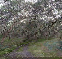 Pink Line and Loop Trail - Mountain Biking - Darwin Holiday