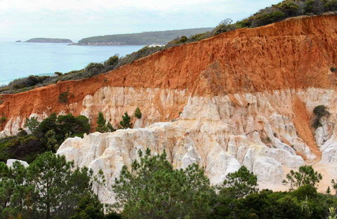 Pinnacles Loop Walking Track - Darwin Holiday 0