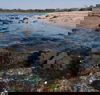 Point Cook Marine Sanctuary - Darwin Holiday