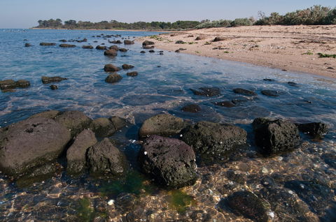 Point Cook Marine Sanctuary - Darwin Holiday 0