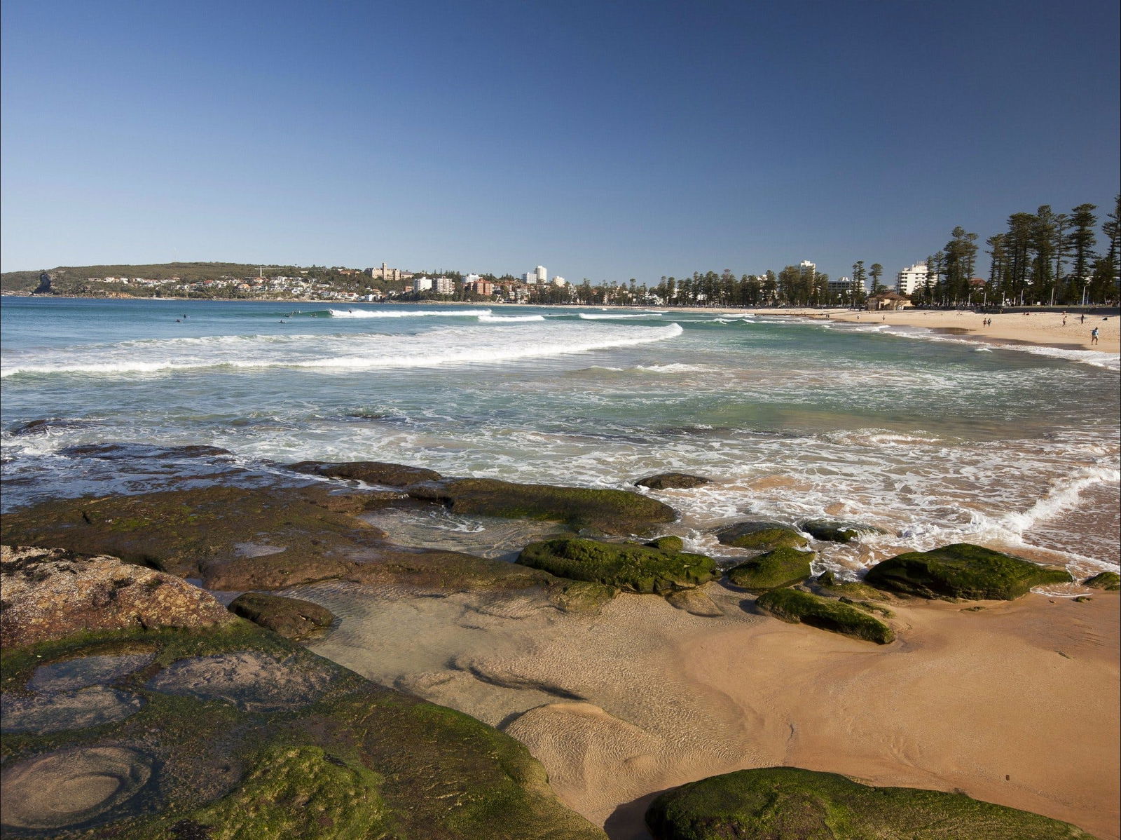 Harbord NSW Darwin Holiday