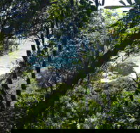Rainforest Walking Track Hat Head National Park - Darwin Holiday