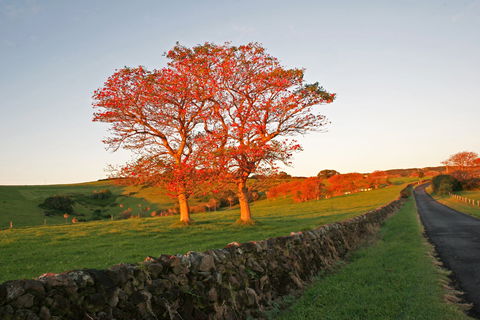 Saddleback Mountain Lookout - Darwin Holiday 2