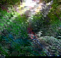 Scenic World Blue Mountains - Darwin Holiday