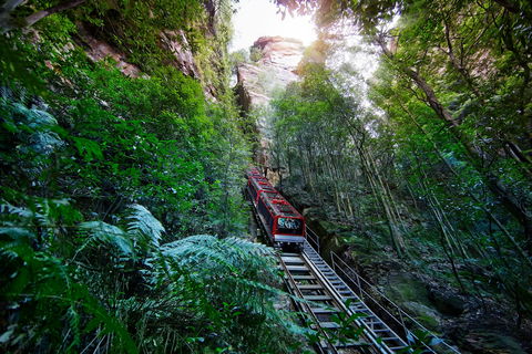 Scenic World Blue Mountains - Darwin Holiday 0