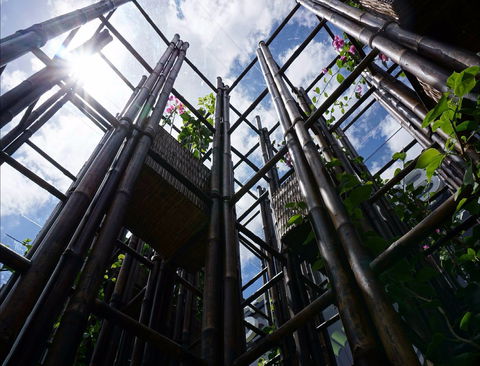 Sherman Contemporary Art Foundation - Darwin Holiday 1