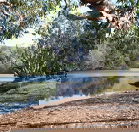 Silent Grove - Darwin Holiday