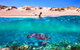 Snorkel The Ningaloo Reef - thumb 0