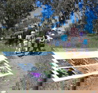 South Gundagai Woodlands Walk