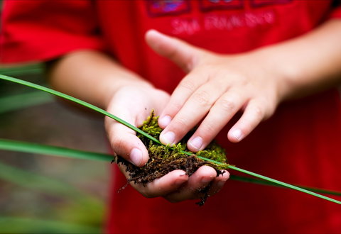 Strickland State Forest - Darwin Holiday 1