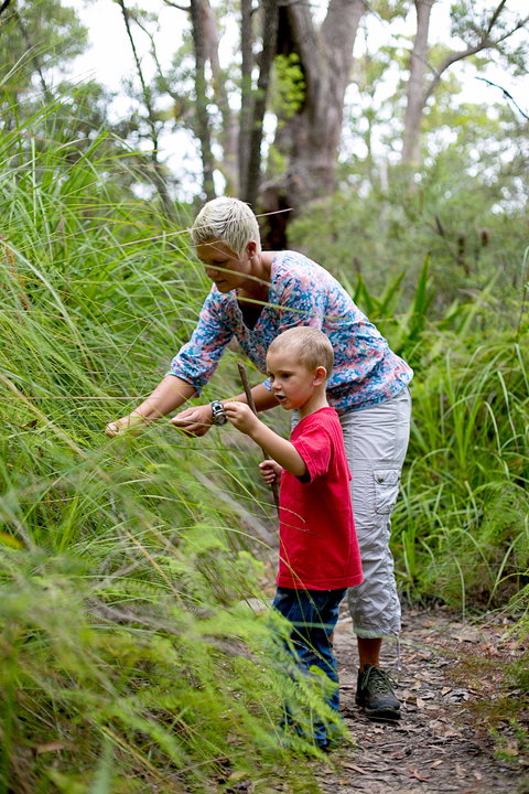 Strickland State Forest - Darwin Holiday 2
