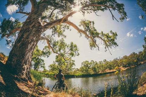 Sturt Gorge Recreation Park - Darwin Holiday 0