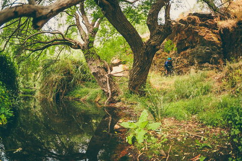 Sturt Gorge Recreation Park - Darwin Holiday 1