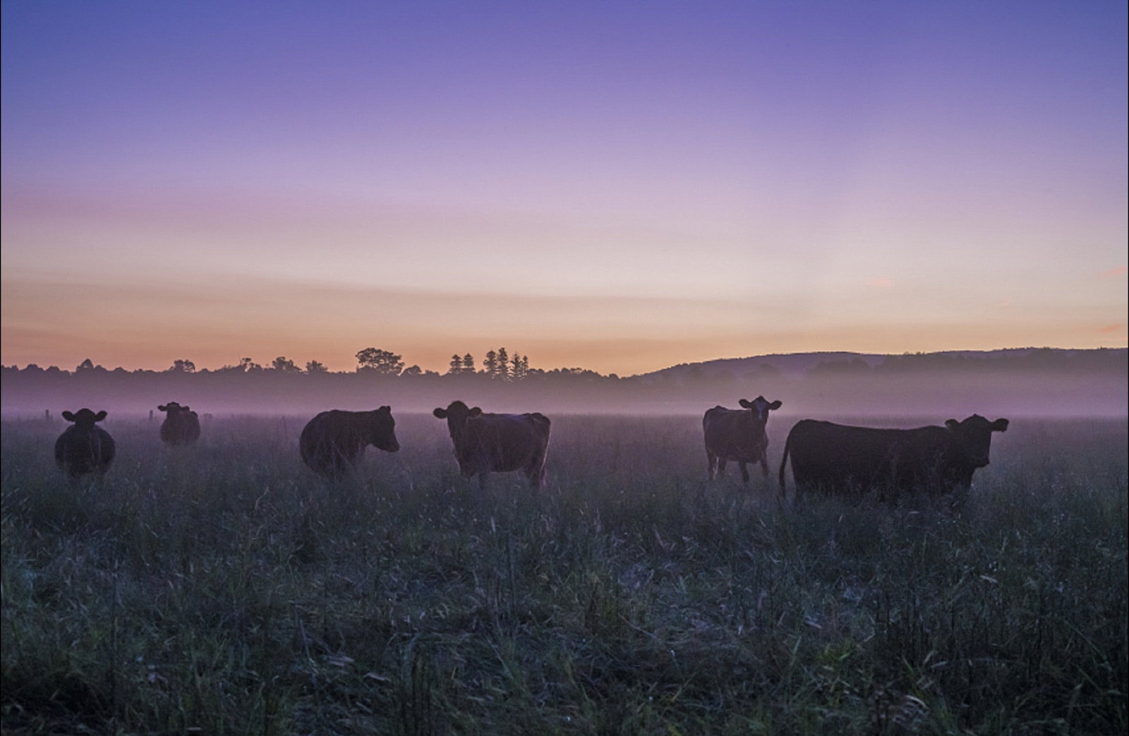 Tapitallee NSW Darwin Holiday