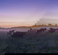 Tapitallee - Darwin Holiday