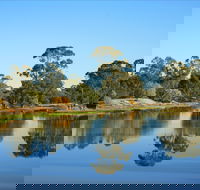 The Gums - Darwin Holiday