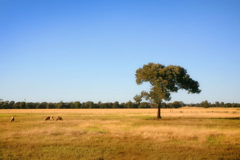 The Gums - Darwin Holiday 2