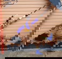 The Story Bank - Darwin Holiday