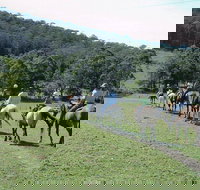 Timbertops - Horse Riding - Darwin Holiday