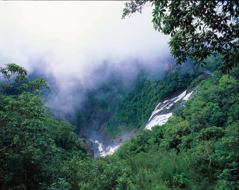 Tully Falls And Tully Gorge - Darwin Holiday 0