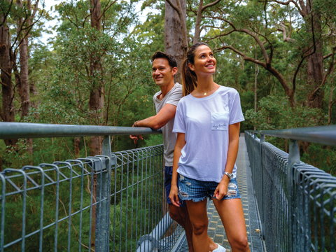 Valley Of The Giants Tree Top Walk - Darwin Holiday 0