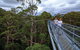 Valley Of The Giants Tree Top Walk - thumb 2