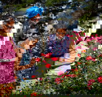 Victoria State Rose Garden at Werribee Park - Darwin Holiday