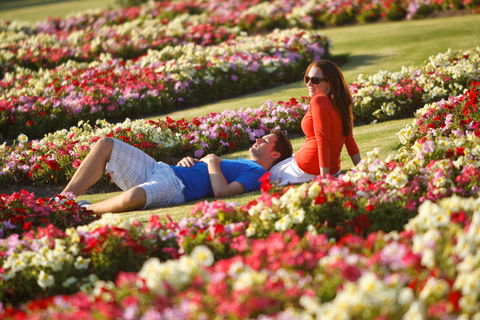 Victoria State Rose Garden At Werribee Park - Darwin Holiday 1