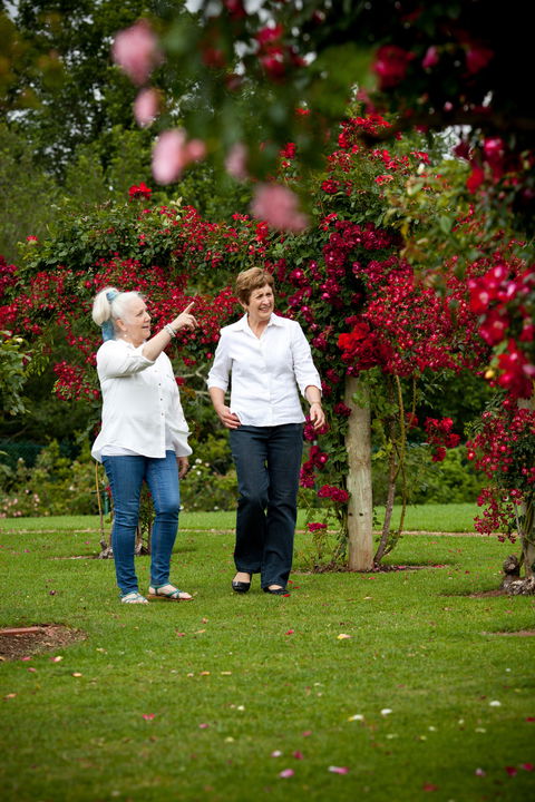 Victoria State Rose Garden At Werribee Park - Darwin Holiday 2