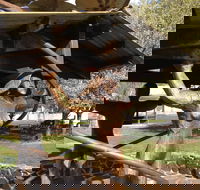 Walcha Open Air Gallery - Darwin Holiday