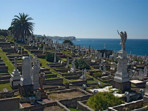 Waverley Cemetery - Darwin Holiday 0