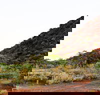 Whyalla Conservation Park - Darwin Holiday