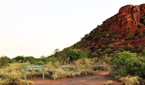 Whyalla Conservation Park - Darwin Holiday 0