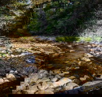 Wilson River picnic area - Darwin Holiday