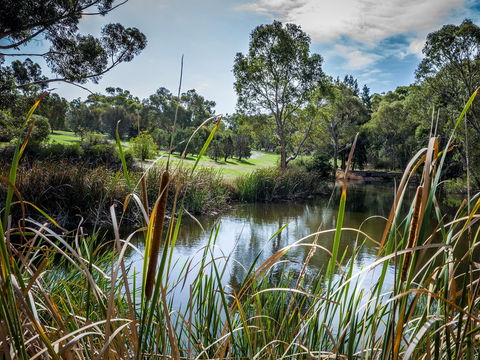 Wittunga Botanic Garden - Darwin Holiday 2