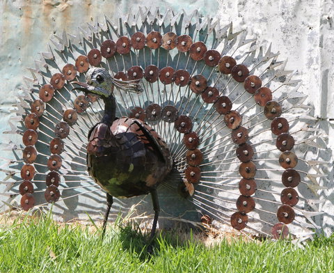 Zambezi Crafts - Darwin Holiday 1