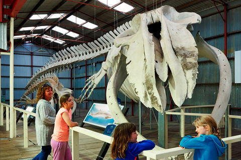 Albany's Historic Whaling Station - Darwin Holiday 2