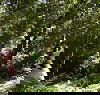 Alfred National Park - Darwin Holiday