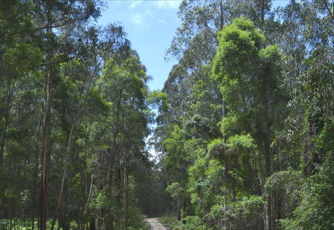 Alfred National Park - Darwin Holiday 1