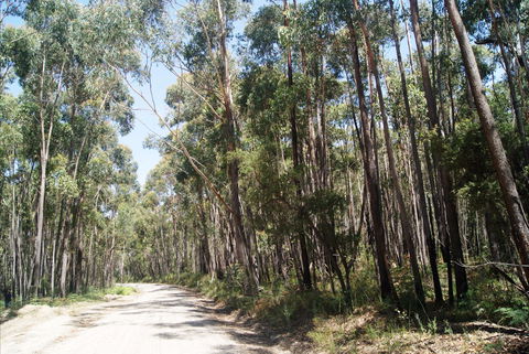 Alfred National Park - Darwin Holiday 2