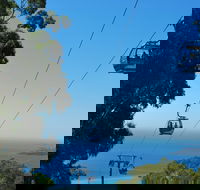 Arthurs Seat Eagle - Darwin Holiday