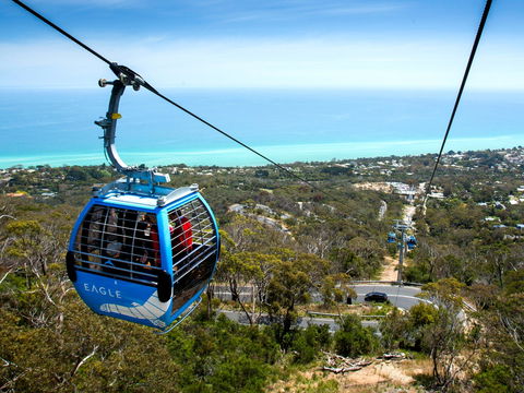 Arthurs Seat Eagle - Darwin Holiday 1