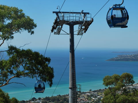 Arthurs Seat Eagle - Darwin Holiday 2