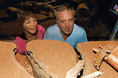 At The Creek Visitor Information Centre - Darwin Holiday 0