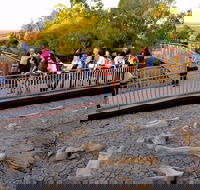 Australian Age of Dinosaurs - Darwin Holiday